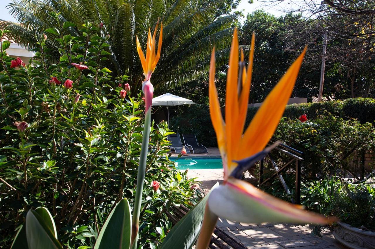 Constantia Manor Guest House Pretoria Exterior photo